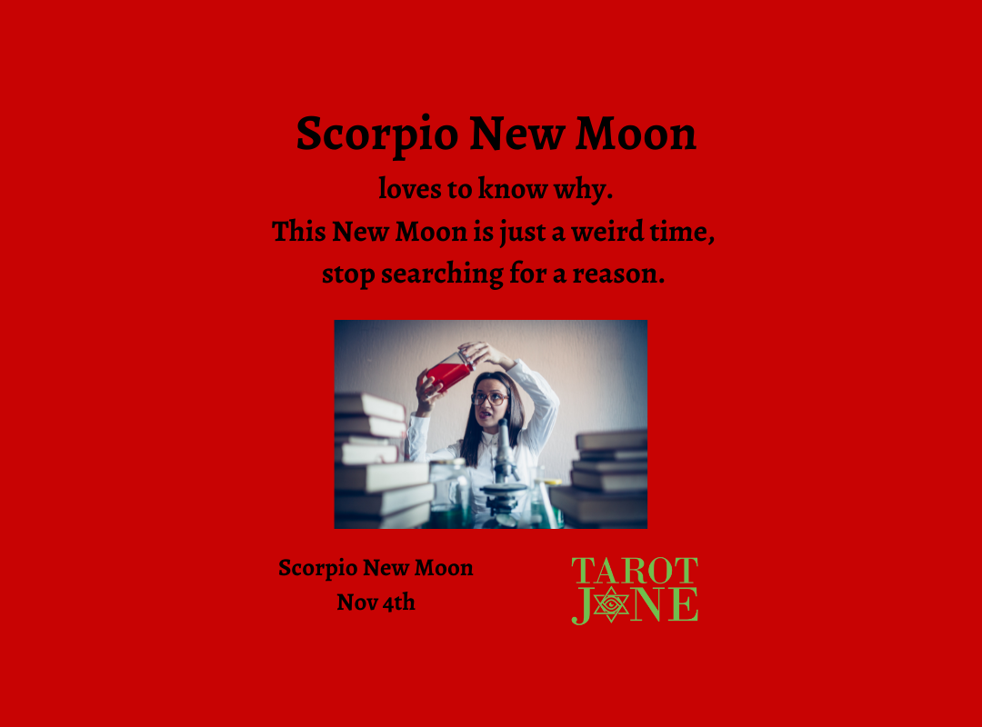 Scorpio New Moon Tarot Jane