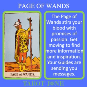 wands promises stirs